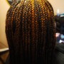 Goddess Box Braids medium bra length