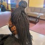 Large Havana Twists