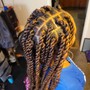 Havana Twists