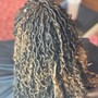 Havana Twist medium size