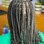 Jumbo Box Braids