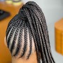 Medium Feed-in  Braids with box braids