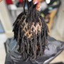 Root Touch Up