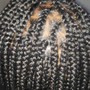 Natural hair 2 strand twist (medium)