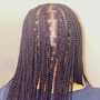 Small Box Braids