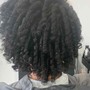 Flat Twists/ 2 Strand Twist