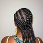 Feed in Braidstyle/Braided ponytail