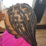 Large Feed In braids (Hair Included)