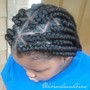 Jumbo Individual Braids