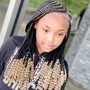 Box Braids medium ( hair included ) any color