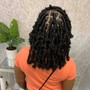 Butterfly Locs (mid back length)