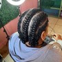 Rope Braids/Flat Twist(Natural Hair)