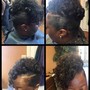 Two Strand Twist (whole head)