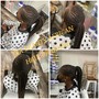 Jombo knotless box Braids (mid-back)