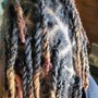 Starter Loc Twists