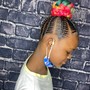 Small Braided Ponytail