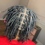 Starter Locs