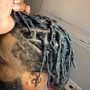 Starter Locs