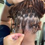 Kid's Box braids (no hair included)