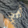 Loc Retwist