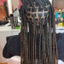 Individual Braids