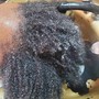 2 Strand Twist Starter Locz