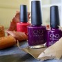 Shellac Manicure