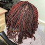 Kinky Twist