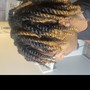 Two Strand Twist(No Extensions)