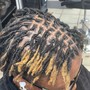 starter Locs