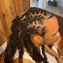 starter Locs