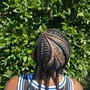 Natural Hair Box Braids/ 2 strand twist