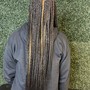 Natural Hair Box Braids/ 2 strand twist