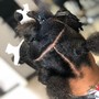 Loc Retwist