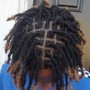 Starter Locs  (Two-Strand Twist)