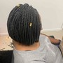 Butterfly Locs (mid back length)