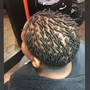 Starter Locs (Two Strand Twist)