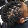 Dreads Updo, Dreads plaits or double twist