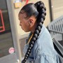 SLEEK PONYTAIL (HAIR INCLUDED)