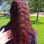 Partial Highlights