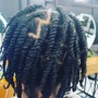 Starter Locs- Ear Length