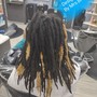 Partial Locs Highlights (Tips)