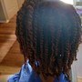 Two Strand Twists 1/2 head