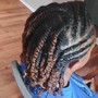 Two Strand Twists 1/2 head