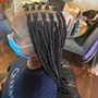 Medium Box Braids (Hair  Included)