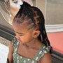 Small Braided Ponytail