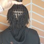 2 Strand Twist Loc Style