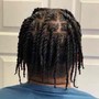 Starter Locs (past the shoulder to mid back)