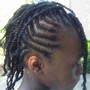 Natural Hair Braided Styles