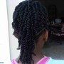 Natural Hair Braided Styles